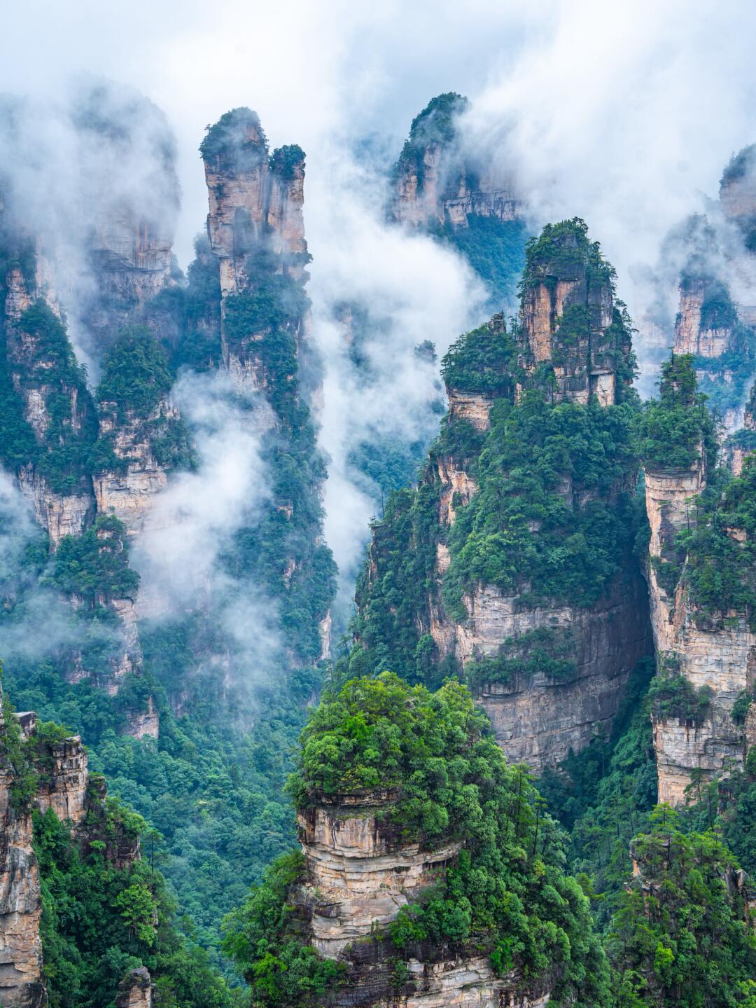 The Real-World Pandora -Zhangjiajie Admission Tickets | PandaStroll