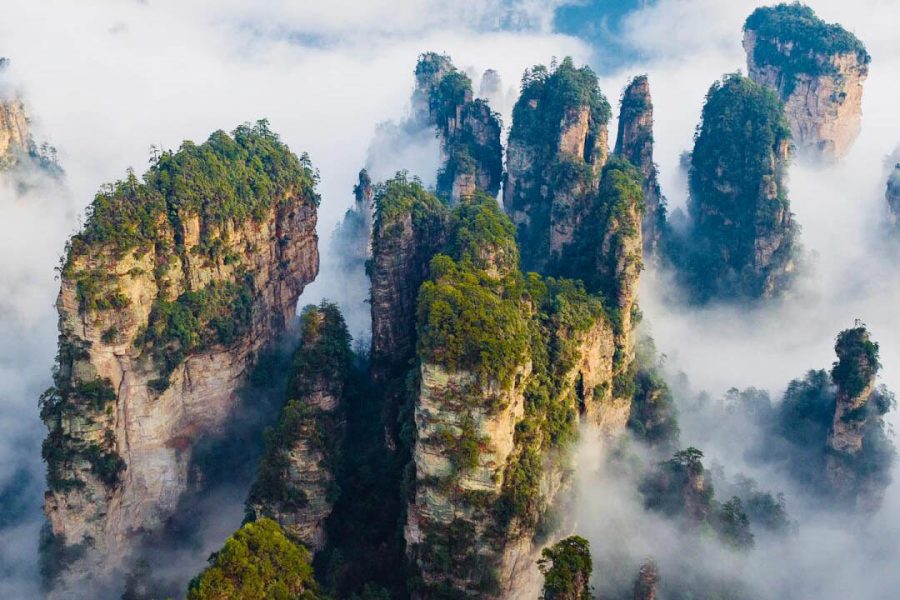The Real-World Pandora -Zhangjiajie Admission Tickets