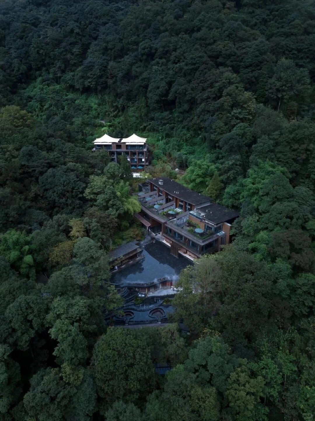 Aerial view of Zuwang Forest Hotel surrounded by dense mountain forests, showcasing its quiet, Zen-inspired retreat setting.