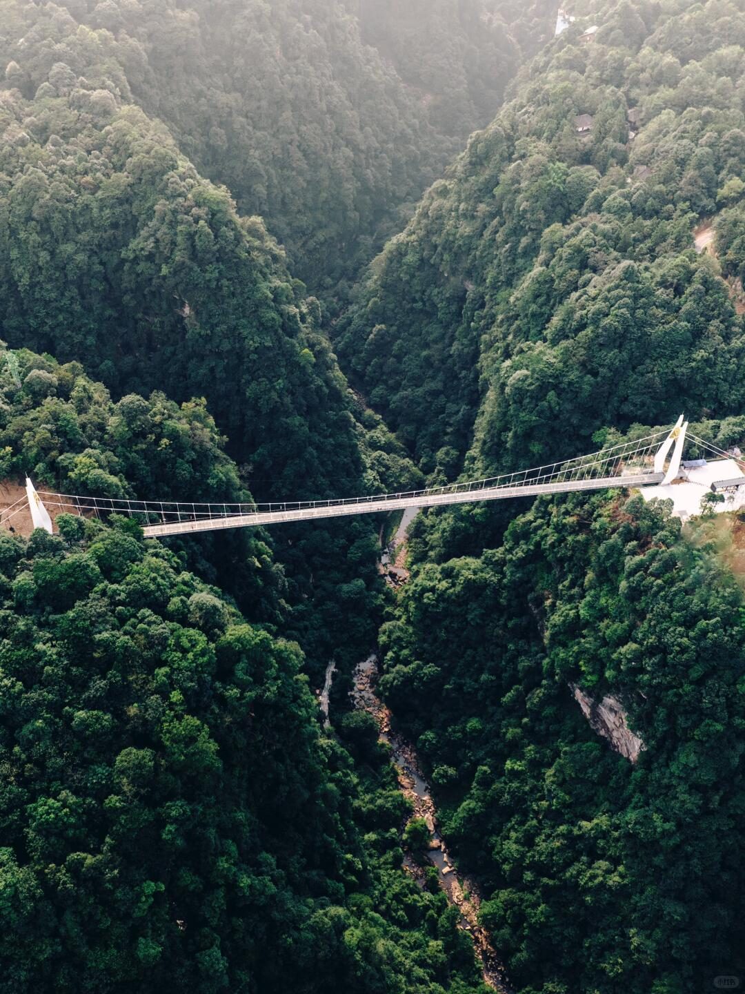 Mountain valley and suspension bridge in Bifengxia Scenic Area, Ya’an