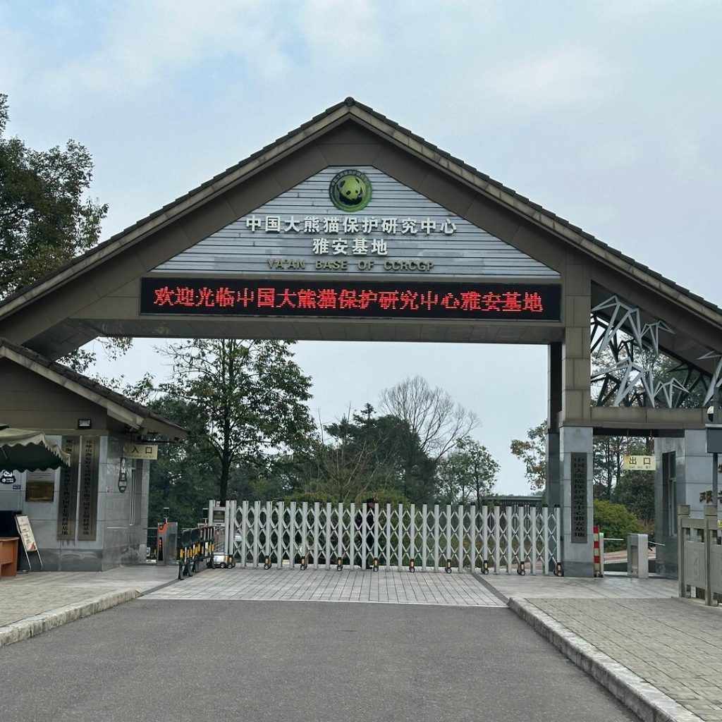 Main gate of Bifengxia Panda Base, located inside a large scenic area near Ya’an