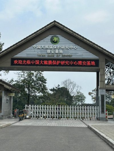 Main gate of Bifengxia Panda Base, located inside a large scenic area near Ya’an