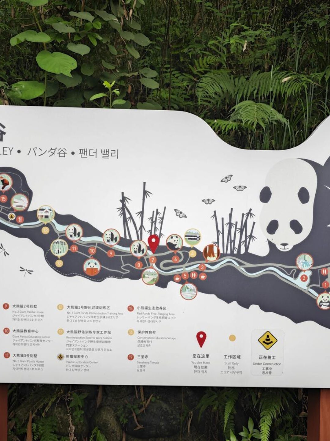 Visitor route map at Chengdu Panda Valley showing walking paths and panda enclosures
