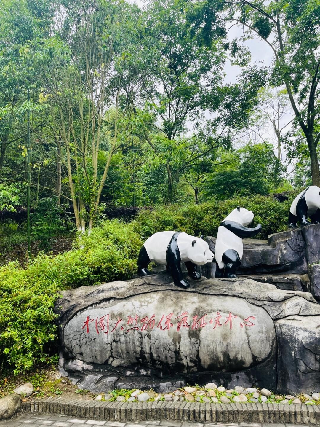 Giant pandas in a quiet natural habitat at Dujiangyan Panda Base near Chengdu
